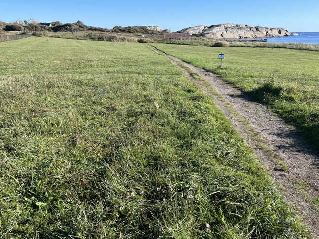 Sønstegård plante- og dyrefredningsområde. Bildet er tatt i oktober 2023. Foto: Statsforvalteren i Vestfold og Telemark