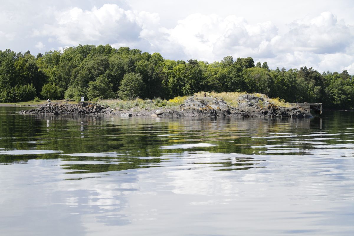 Bueskjær ligger i Hortens indre havnebasseng og er en viktig hekkeplass for sjøfugl.