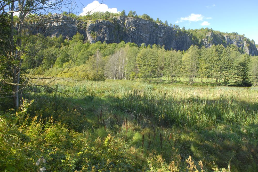 Falkenstendammen med Veggefjell i Falkensten naturreservat i bakgrunnen.