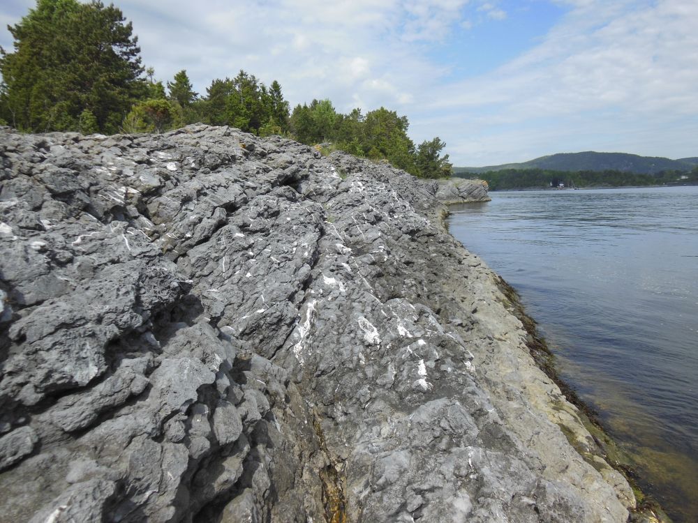 Hele Gåserumpa er fredet for å ta vare på Oslofeltets fossilførende bergarter og vegetasjonen som vokser på den kalkrike grunnen.