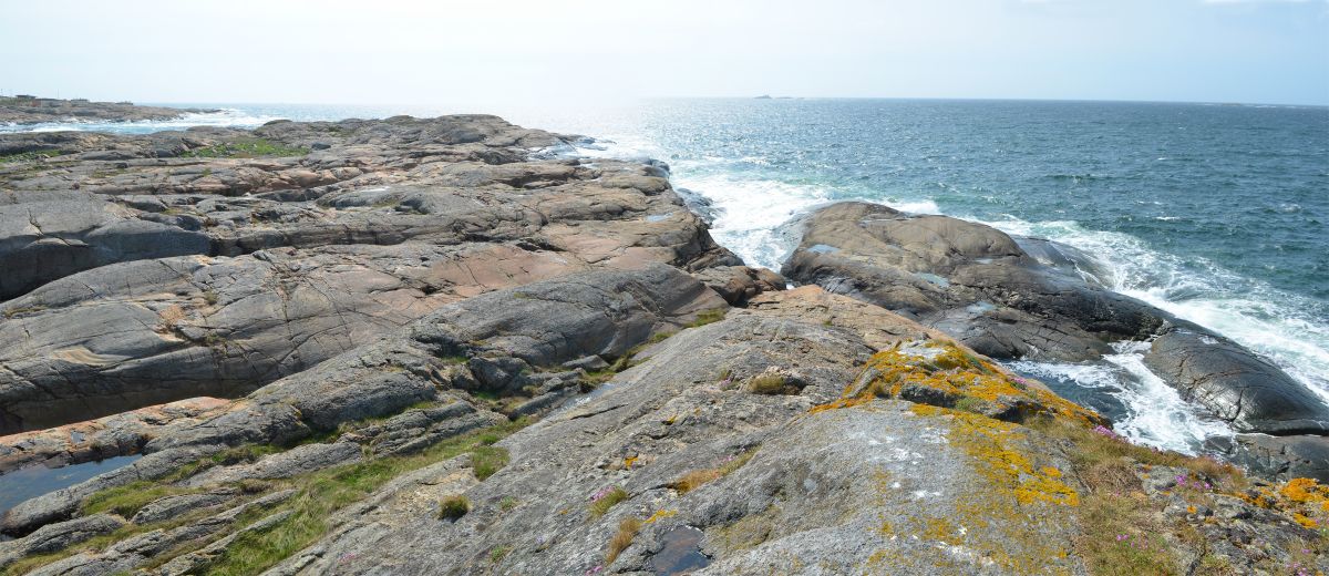 Kinnhalvøya møter Skagerak i sør med blankskurte svaberg og karrig vegetasjon.