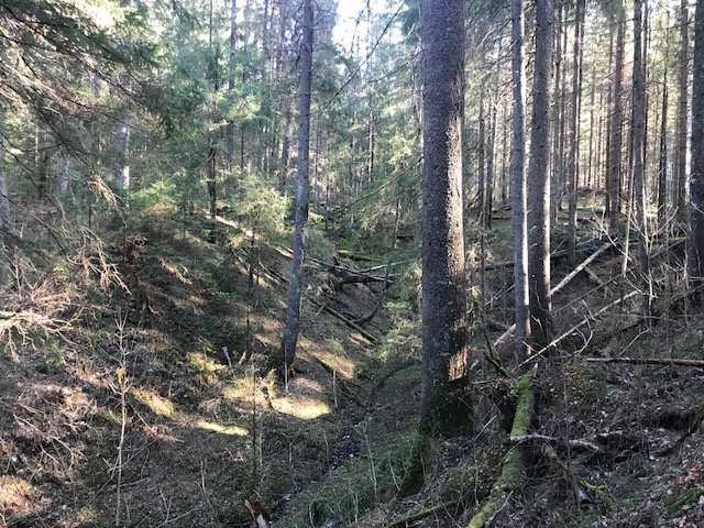 Ravinegranskog i Lågabakkane.