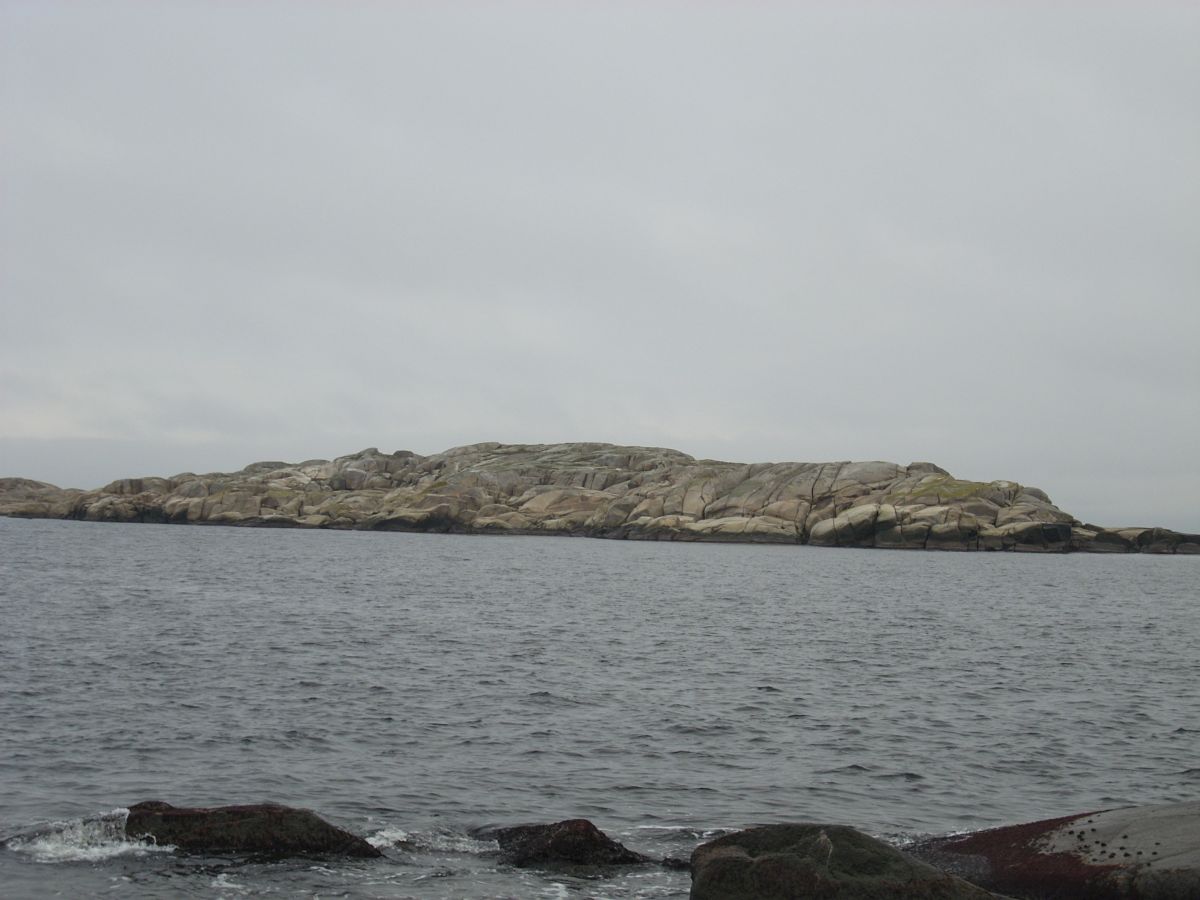 Lyngholmen er en typisk utskjærgårdsøy, naken og værbitt, men en god hekkeplass for måker.
