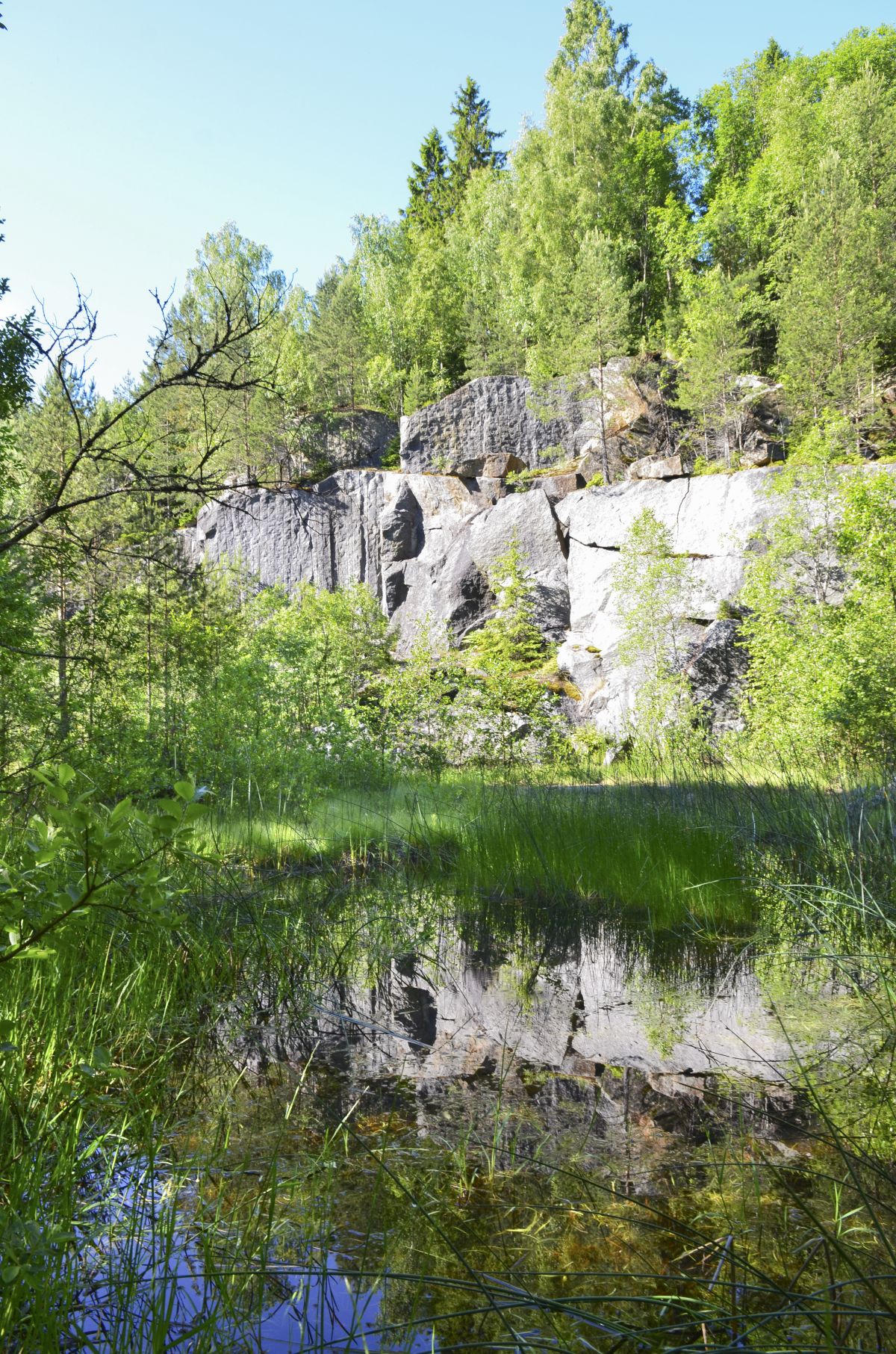 Denne dammen er et av de få amfibiereservatene i Vestfold.