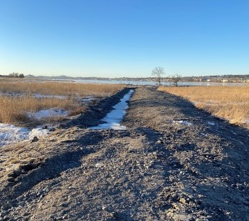 Presterødkilen naturreservat: Gjenåpnet bekk. Foto: Statsforvalteren i Vestfold og Telemark