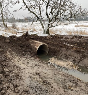 Presterødkilen naturreservat: Fjerning av rørgater er under arbeid. Foto: Statsforvalteren i Vestfold og Telemark