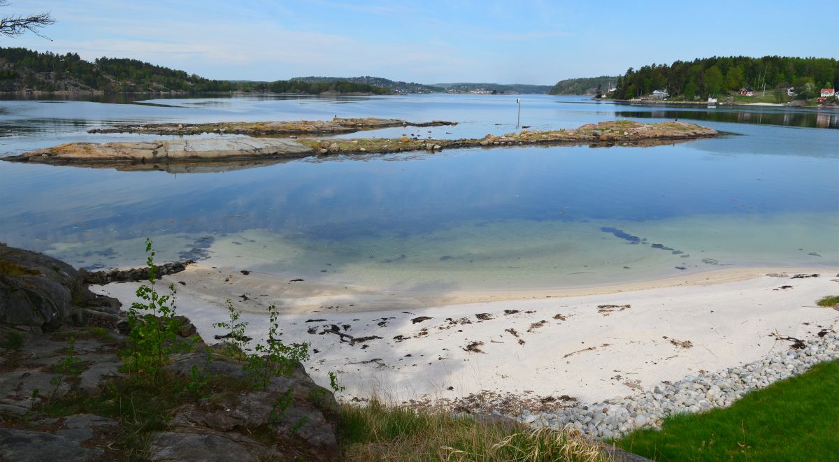 Saltbuskjær ligger helt vest i Vrengensundet.