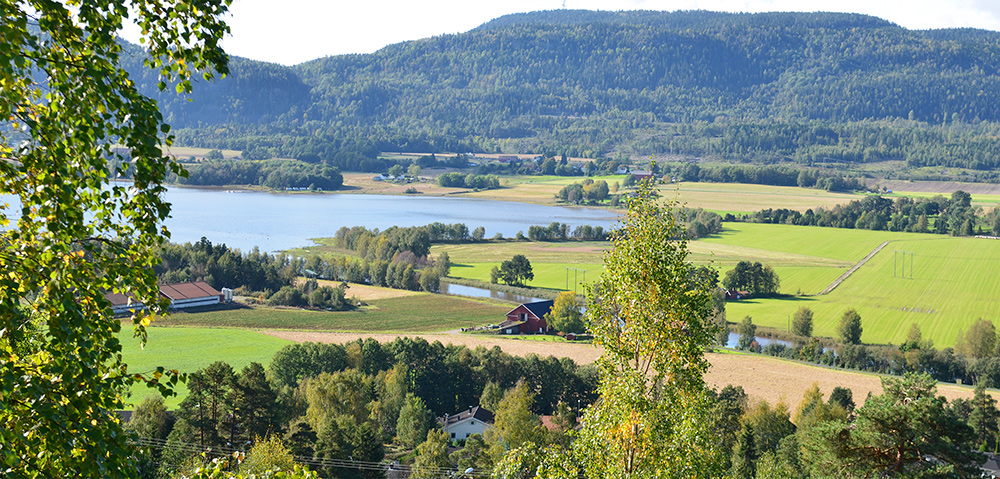Sandebukta landskapsvernområde.