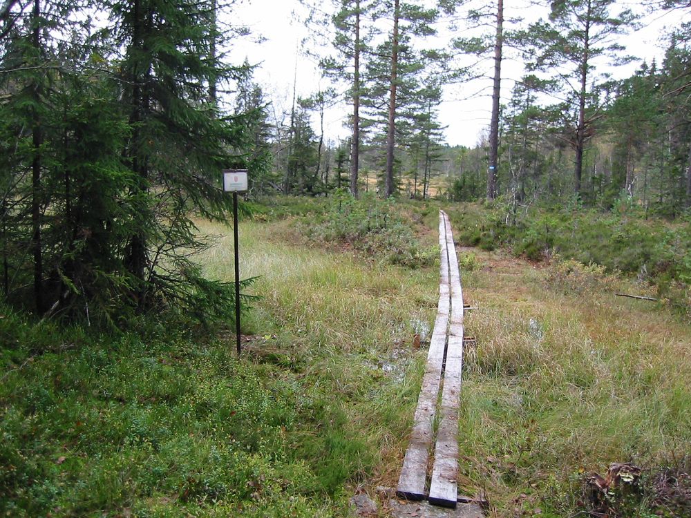 Tønsberg og Omegn Turistforening har anlagt sommerløype med klopper over myra. 