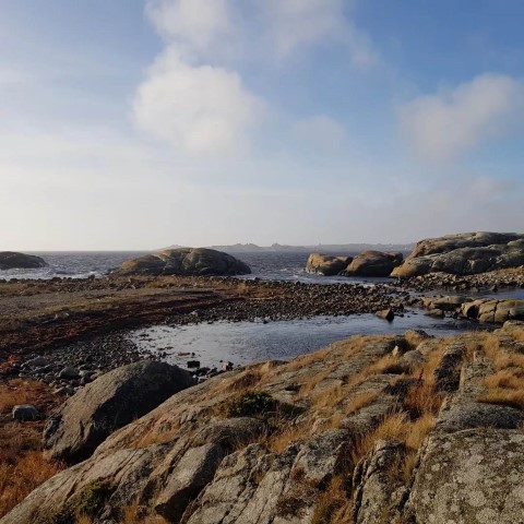 Malmøya naturreservat: Svaberg og rullesteinstrender.  Foto: Linnea Karoline Vereide