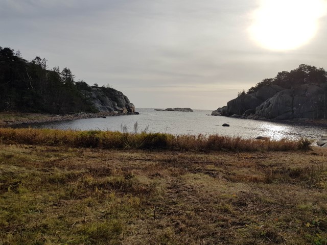 Malmøya naturresrevat: Åpen strandeng Nepegårdsbukta. Foto: Linnea Karoline Vereide