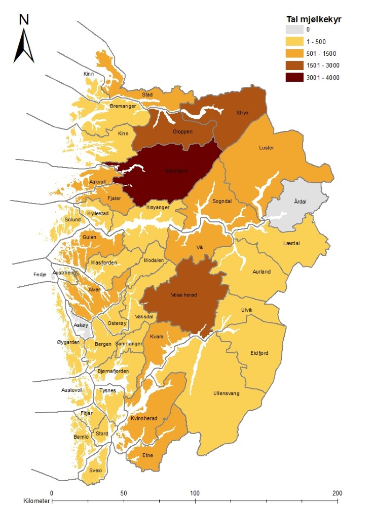 Illustrasjon 1. Tal mjølkekyr i Vestland. Kjelde: Fylkesmannen i Vestland. Illustrasjon 1. Tal mjølkekyr i Vestland. Kjelde: Fylkesmannen i Vestland.
