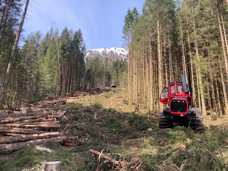 Hogst og hogstmaskin i skogen