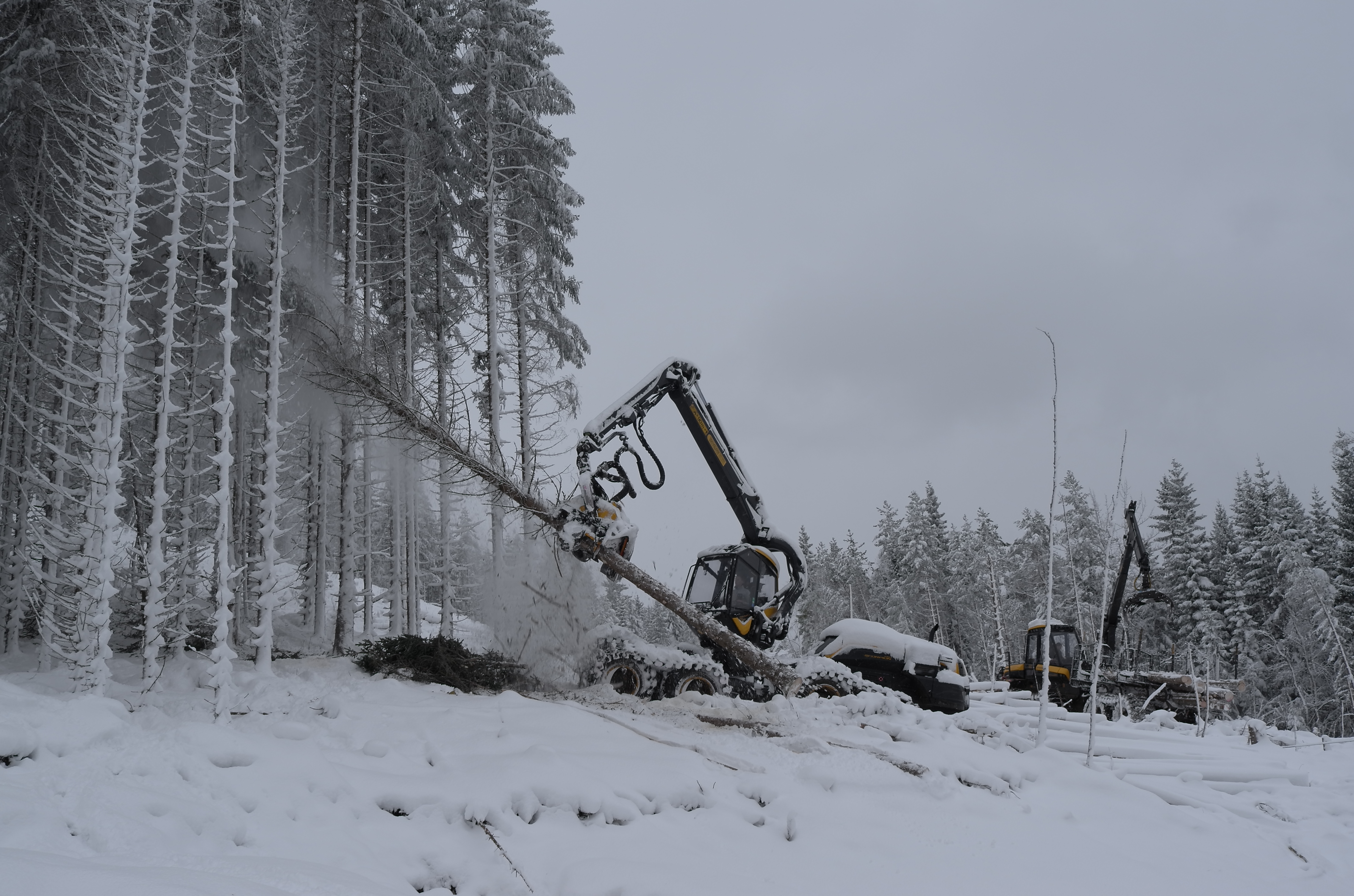Bilde inneheld hogstmaskin i arbeid og grantre i vinterdrakt.