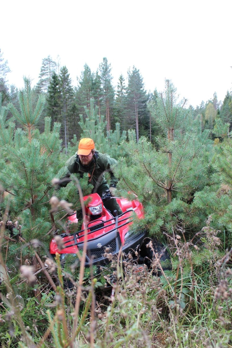 Mann på ATV i skogkledd område
