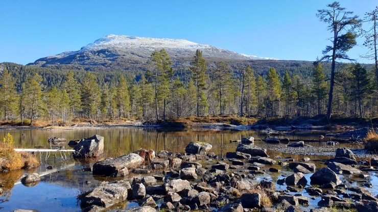 vatn framfor ei skogkledd li under eit fjell med nysnø