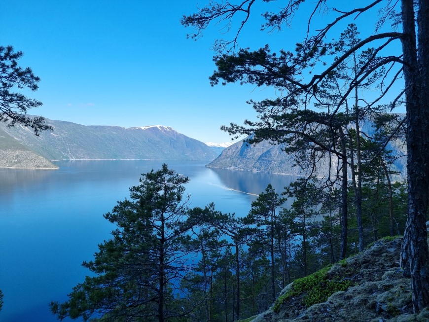 utsyn mot fjorden med trær rundt på alle kantar