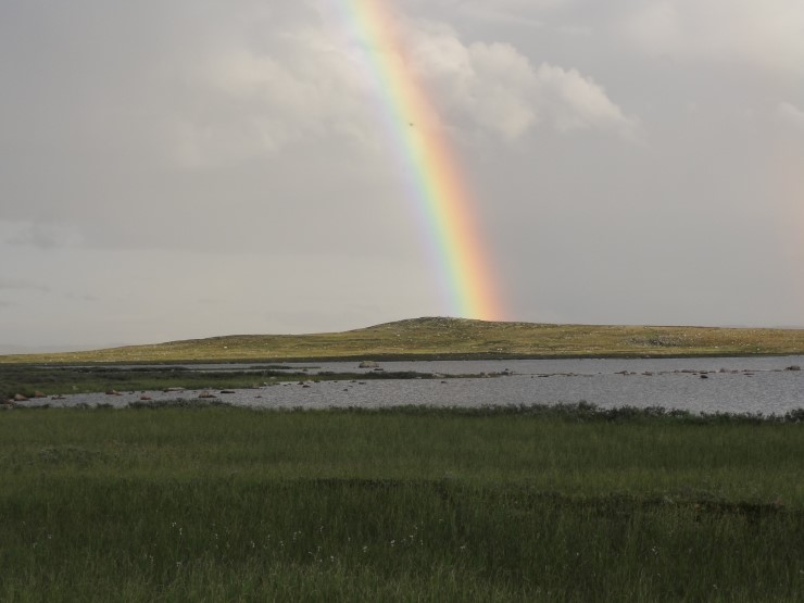 ein regnbode over eit tjern i høgfjellslandskap