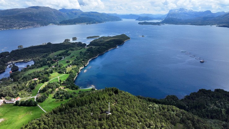 Austsida av Svanøy sett frå fugleperspektiv med grøne bøer og skog og eit oppdrettsanlegg i havet