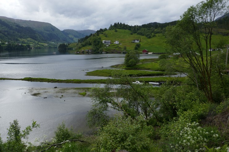 Det er fleire verdifulle grunne område i Dalsfjorden som er viktige for artar som treng mykje lysinnstråling, blaute sediment og ei god blanding av brakkvatn og tilførsle av ferskvatn. Her ser vi Kappstadvika. 