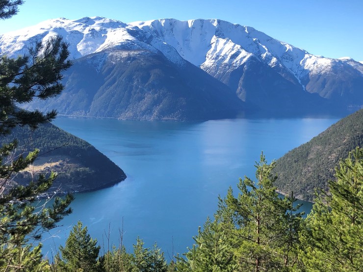 Det største relieffet langs Sognefjorden finst ved fjellet Bleia i Lærdal kommune. Frå toppen av fjellet til botnen av fjorden er det over 2800 meters høgdegradient. Bleia er ein del av verdsarven Vestnorsk fjordlandskap. 