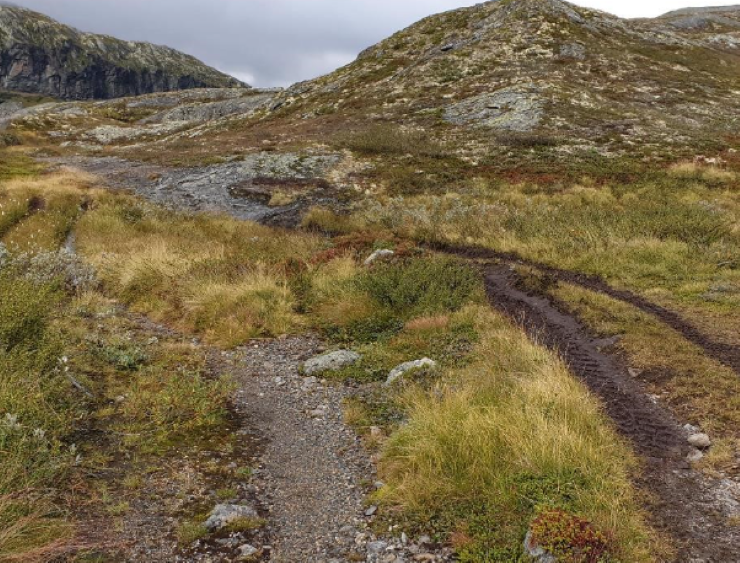 gjørmete spor etter kjøretøy i fjellandskap