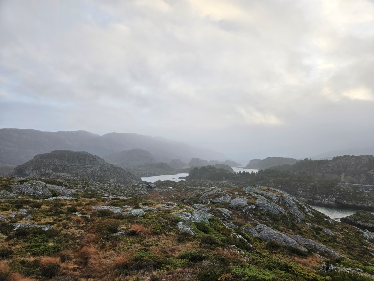 lågt skydekke over landskap med beitande sauer i det fjerne