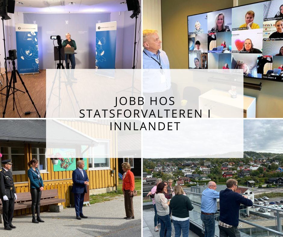 Jobb hos Statsforvalteren i Innlandet.  