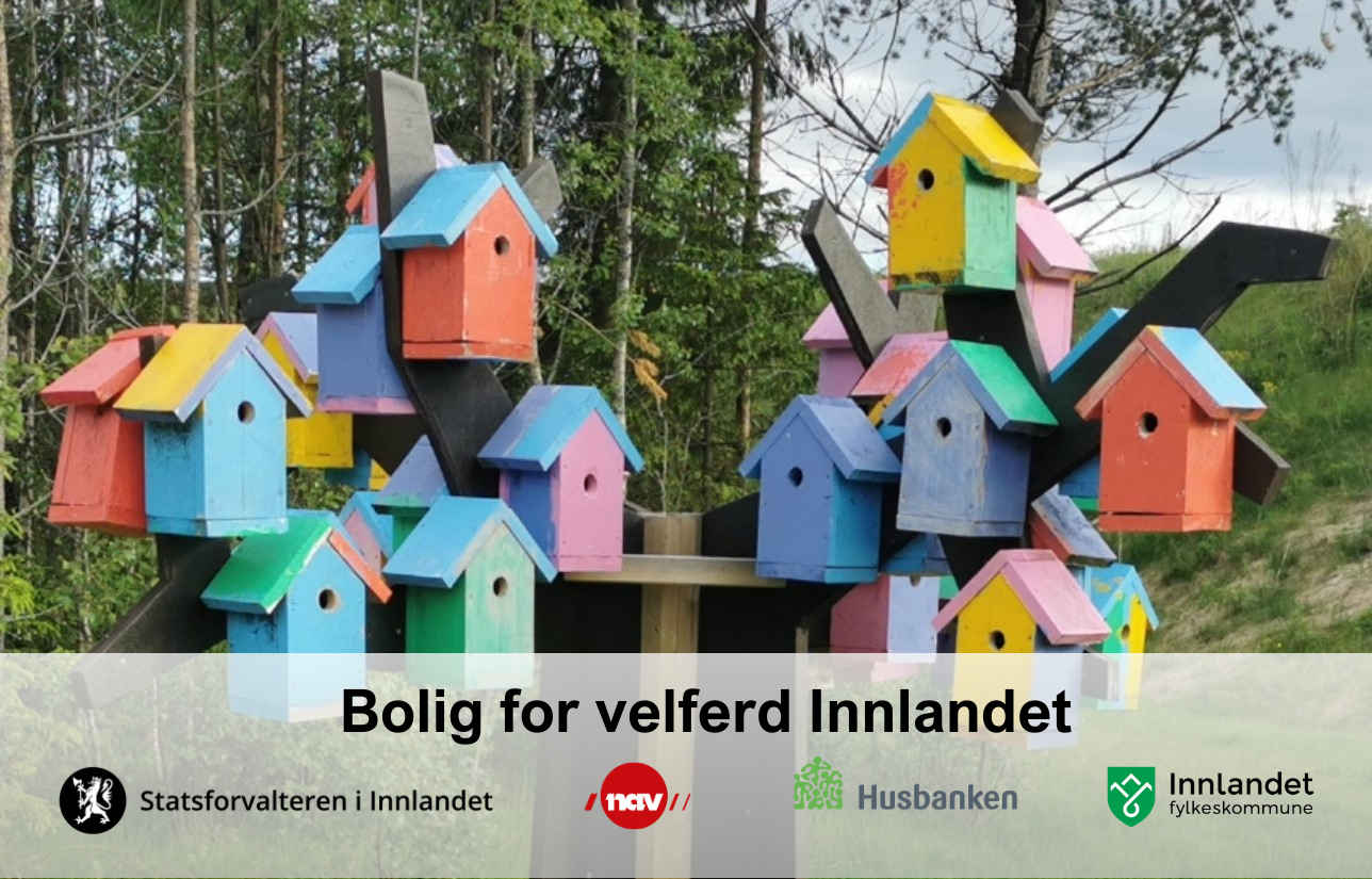 Mange fuglekasser med logoer