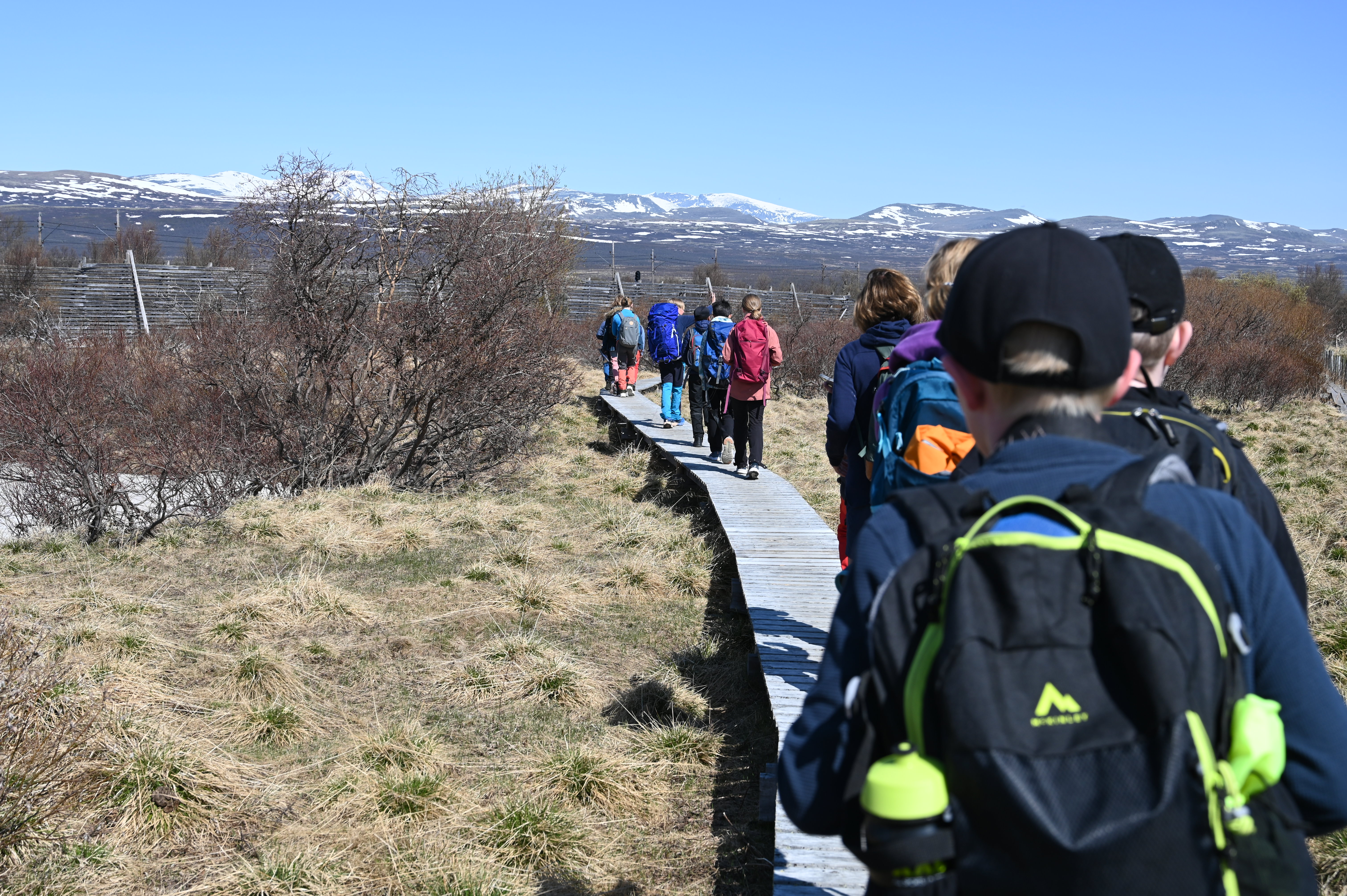 Barn går på en planke-sti på Fokstumyra.