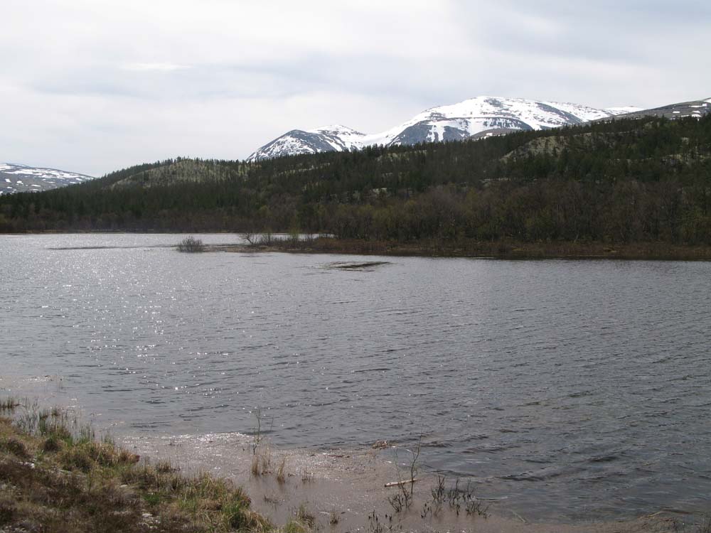 Atna ved Straumbu