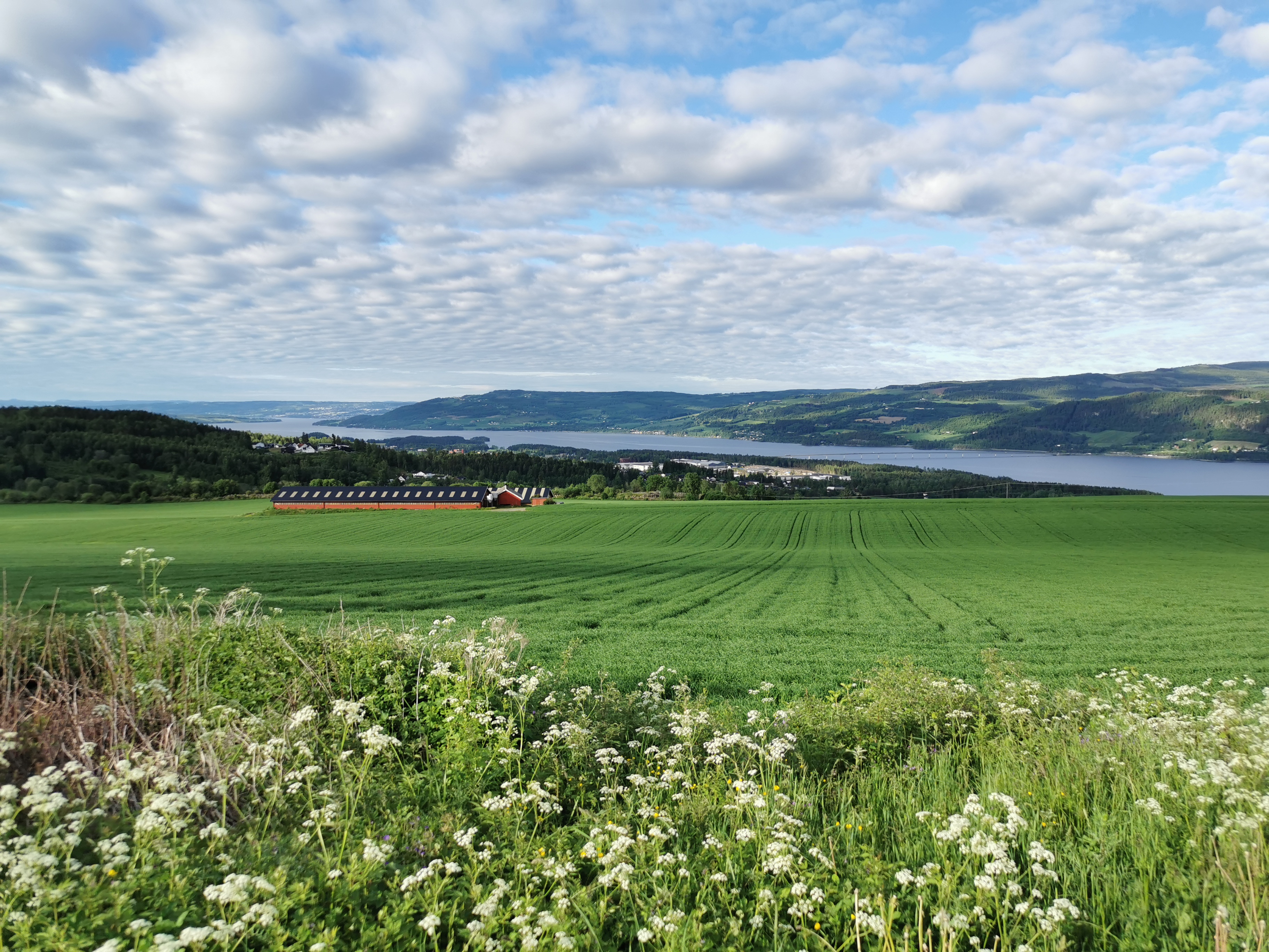 Utsikt over jordbrukslandskap på Ring med grønne jorder og Mjøsa i bakgrunnen