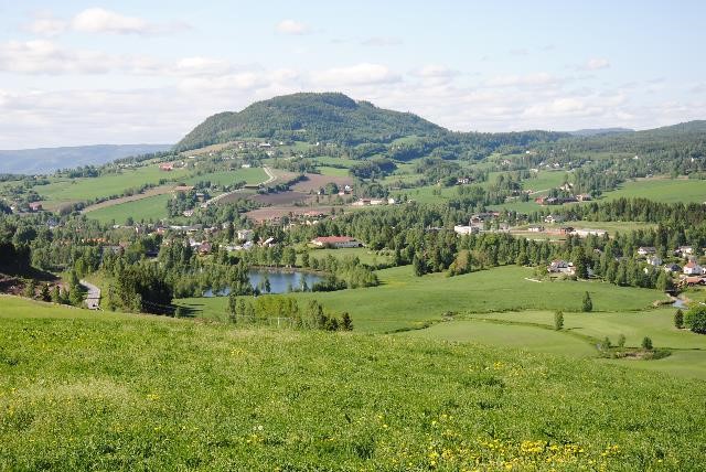 Jordbrukslandskap med skogkledd topp i bakgrunnen