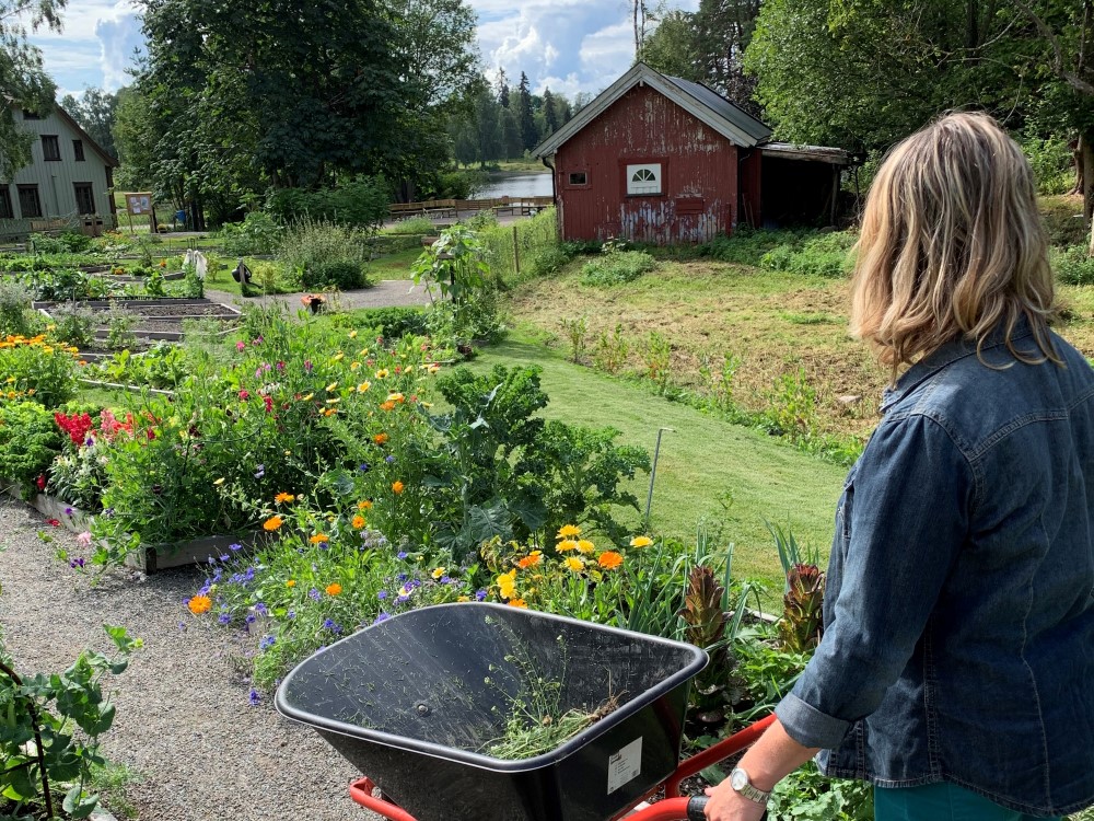 Foto av en dame i en hage med blomster