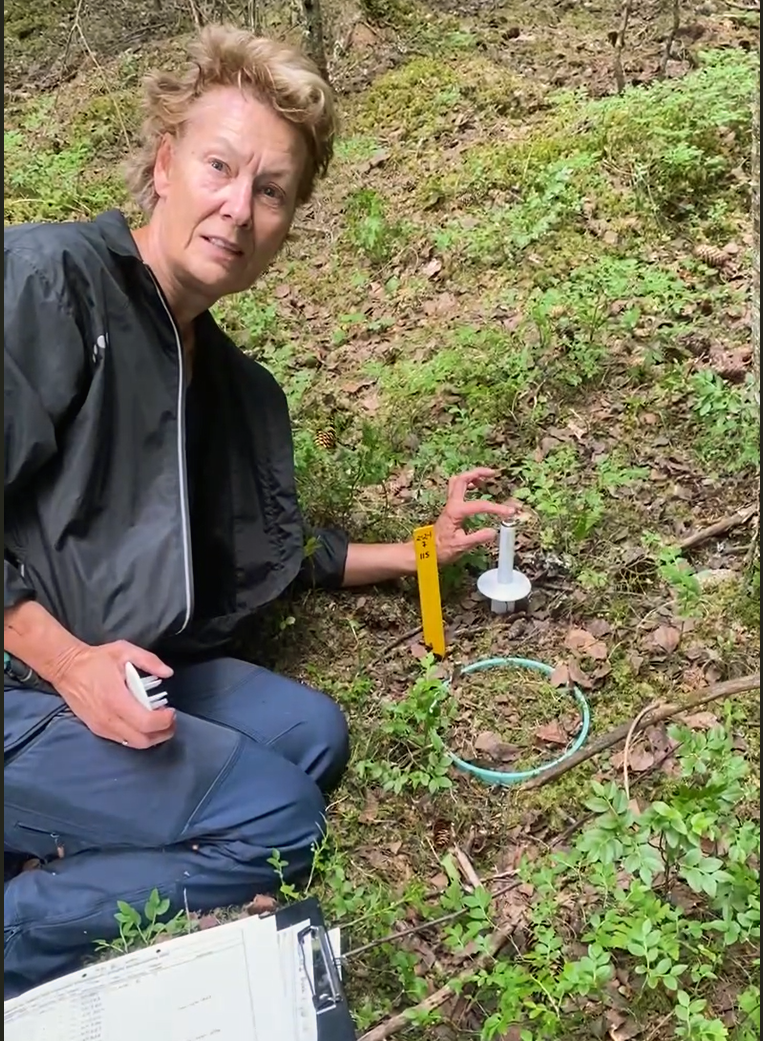 Dame som jobber med måleutstyr ute i skog
