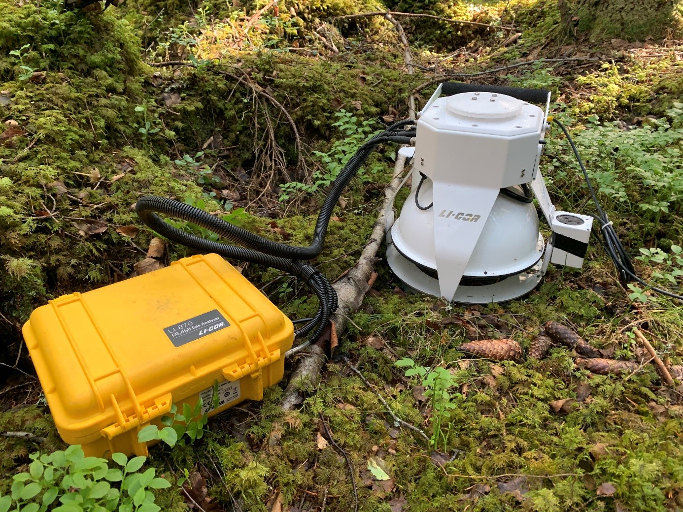 apparat med jordrespirasjonskammer, gassanalysator og temperatursensor