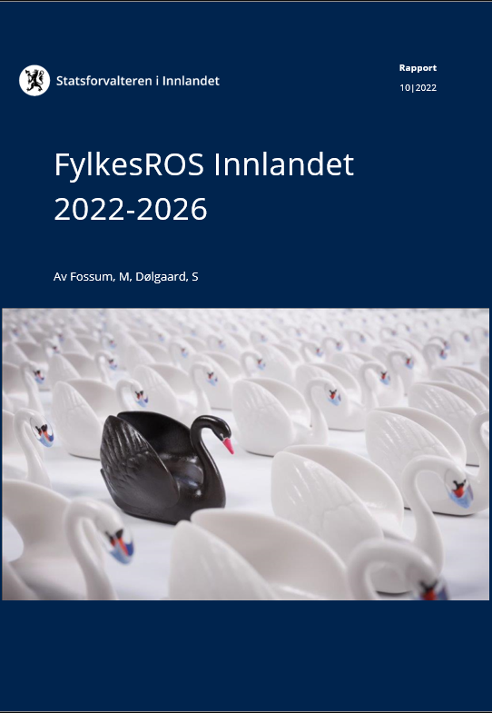 Svart svane blant mange hvite svaner