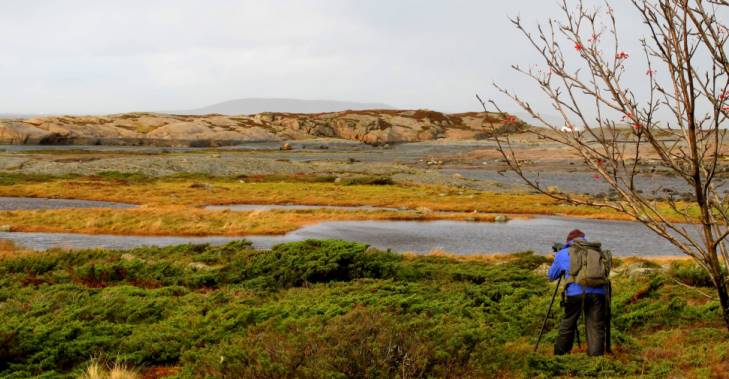 Dette vakre landskapet &oslash;nsker vi &aring; ta vare p&aring;. Foto: Beate Sundg&aring;rd.