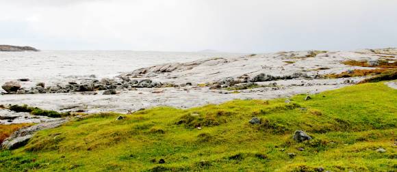 Godt beita og verdifull kystlynghei i Åfjord. Foto: Beate Sundgård Godt beita og verdifull kystlynghei i Åfjord. Foto: Beate Sundgård