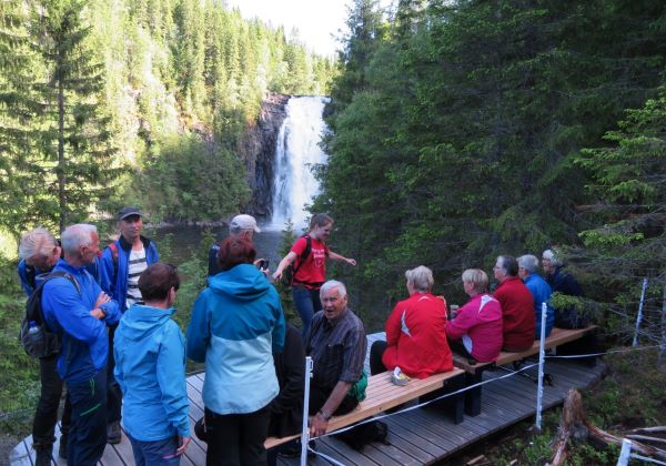 Mange tok turen til Homla for å bli med på åpningen av tilretteleggingstiltaket den 11. juni. Foto: Knut Erling Flataker. Mange tok turen til Homla for å bli med på åpningen av tilretteleggingstiltaket den 11. juni. Foto: Knut Erling Flataker.