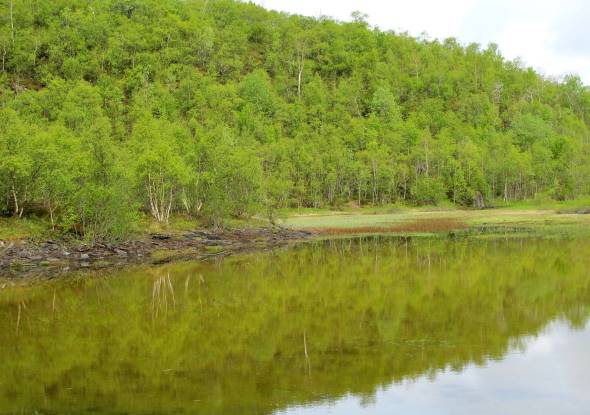 Kalksj&oslash;. Foto: Beate Sundg&aring;rd