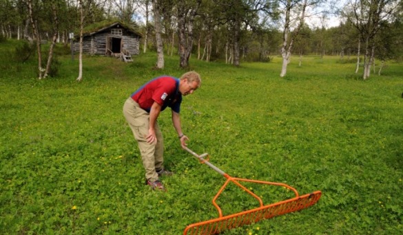 Skjøtsel av slåttemyr. Skjøtsel av slåttemyr.